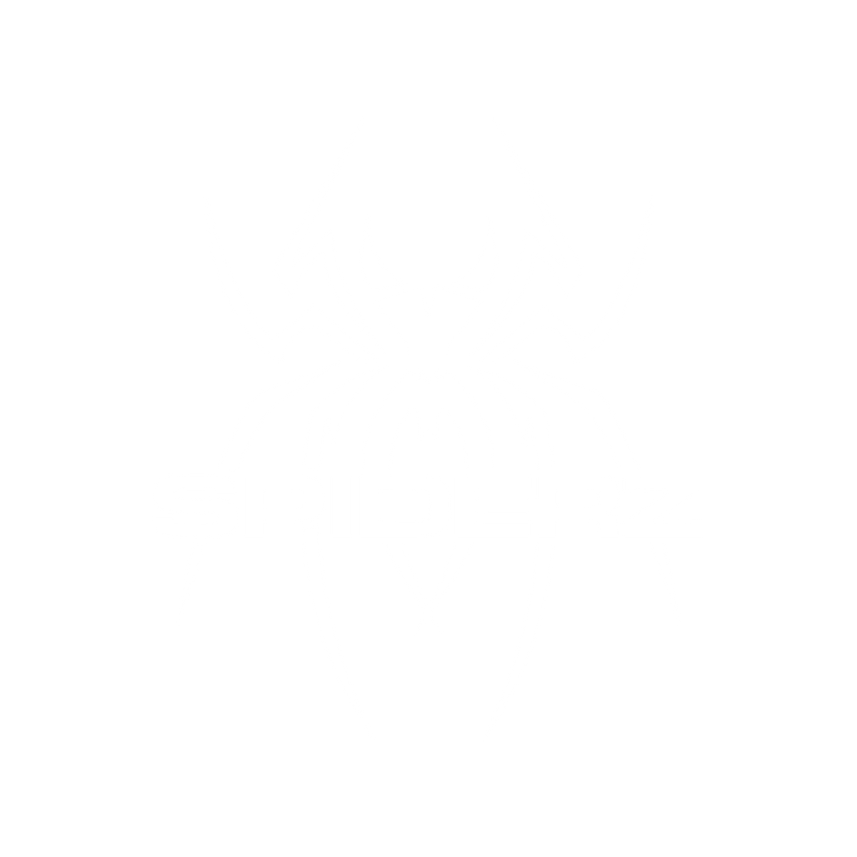 Spiderz Sports