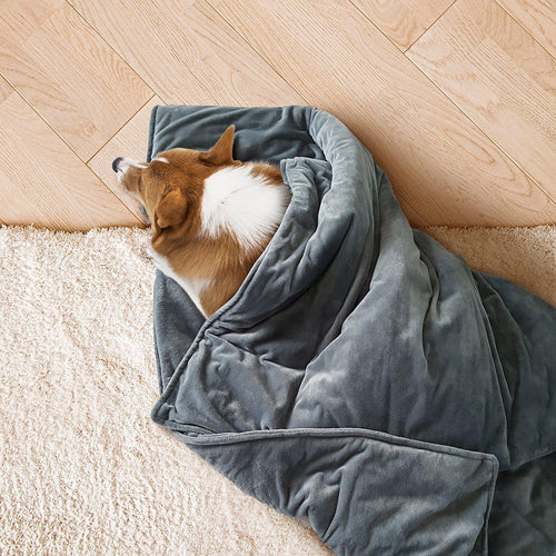 weighted blankets for dogs with anxiety