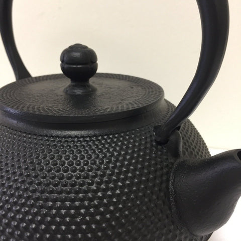 Nambu cast iron kettle 1900