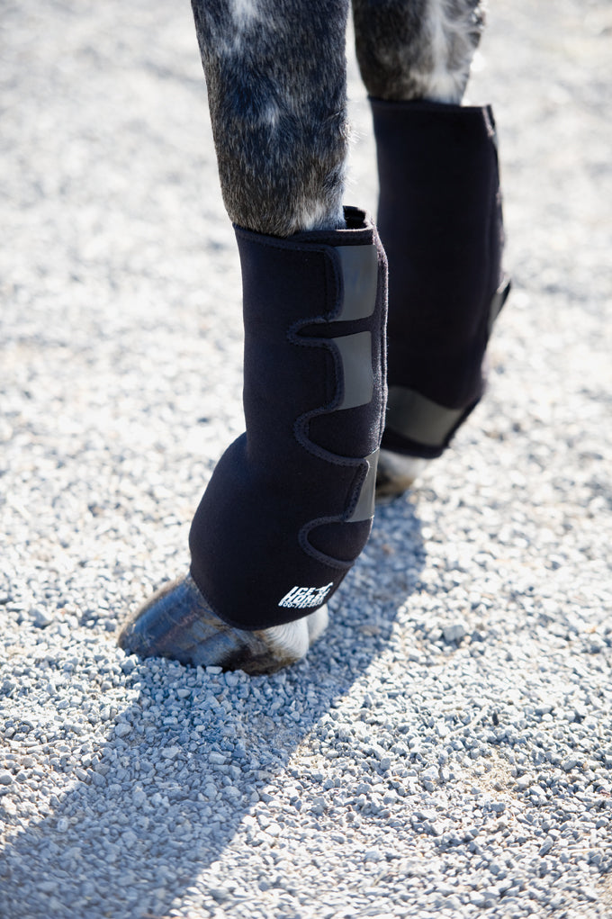 fetlock wraps