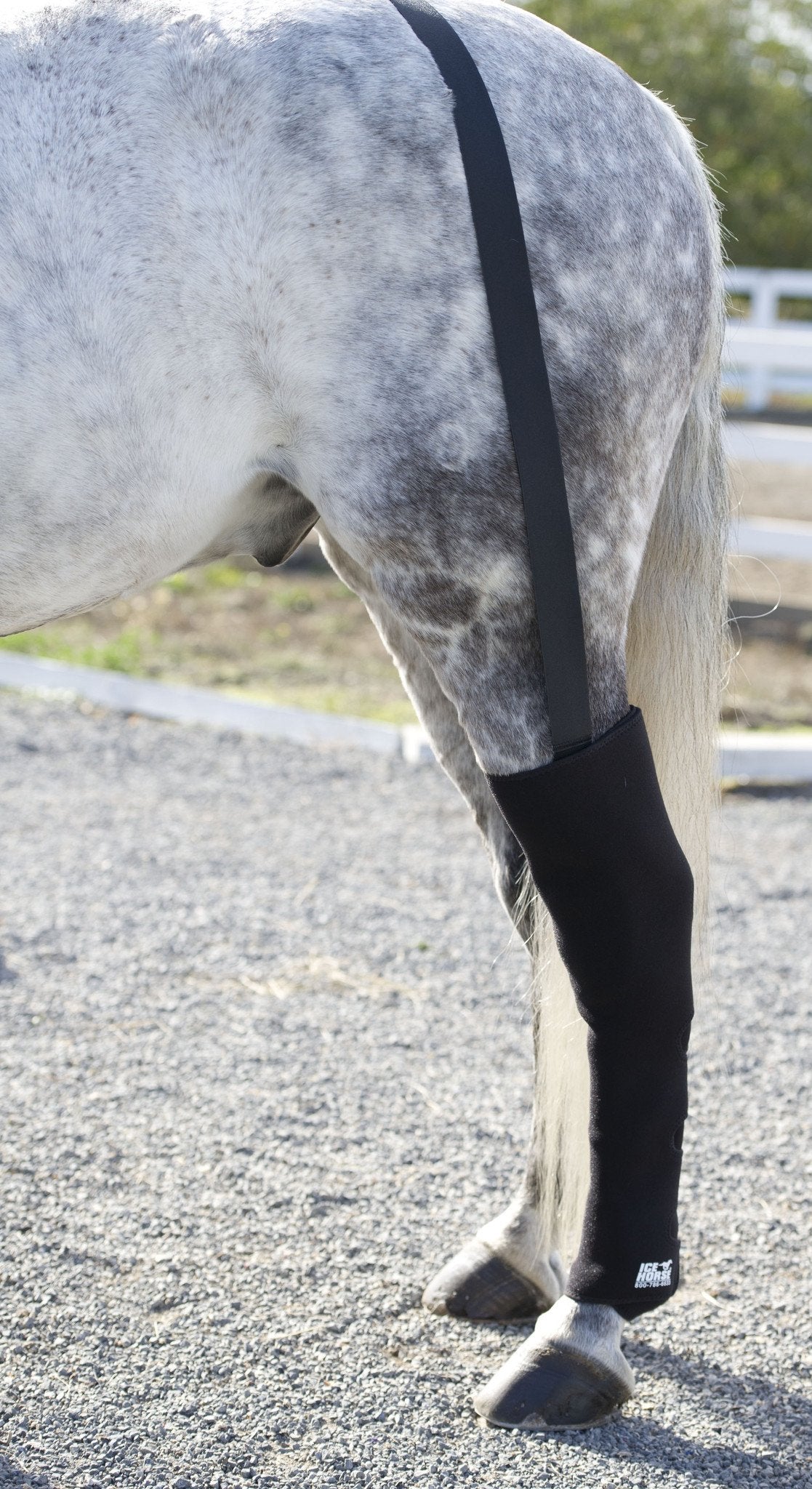 ice bandages for horses