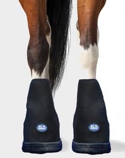 Ice Horse Boot for Horse Hoof Problems 