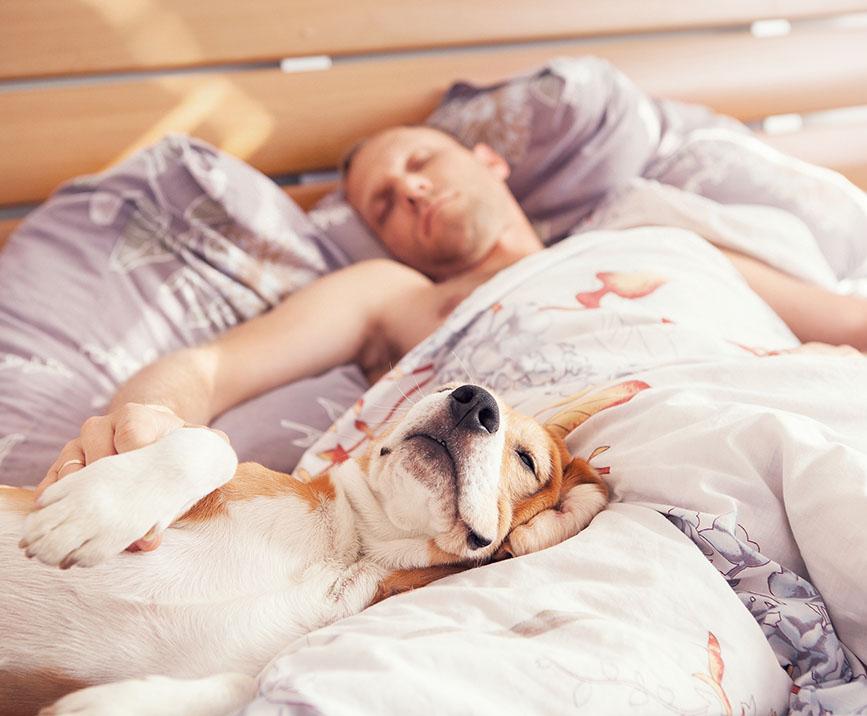 should you sleep with your dog