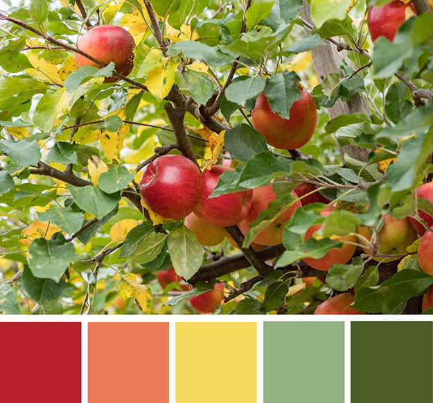 Fall Orchard Palette