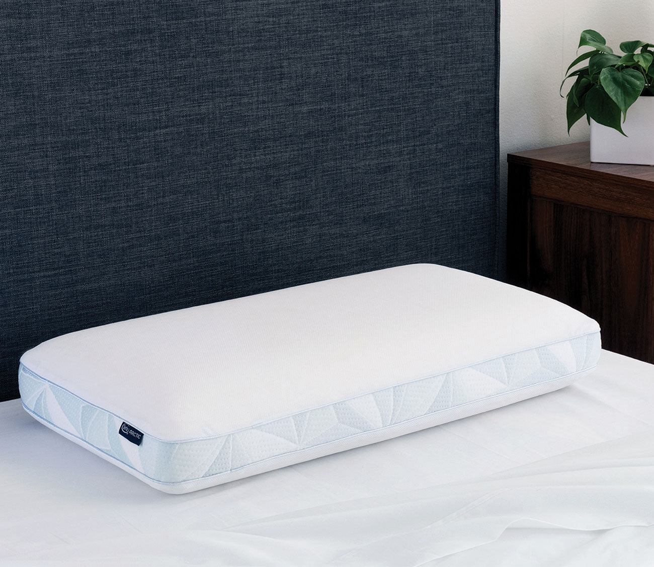 Protect-A-Bed Crystal Tencel Cooling Pillow, Memory Foam & Innerspring 