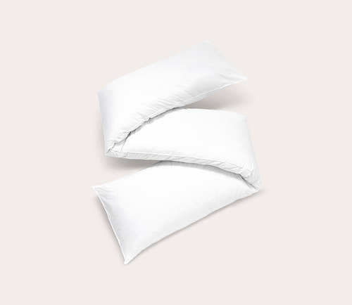 Comfort Support Cotton Pillow – City Mattress