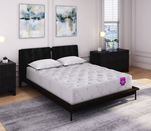 Dharma Elite Plush Mattress – City Mattress