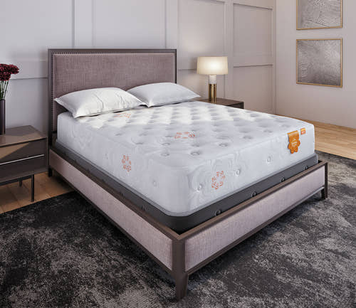 Sealy Posturepedic Silver Pine 11 Ultra Firm Mattress Set - Mr. Mattress