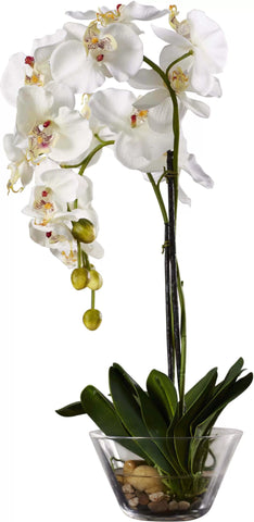 silk white phalaenopsis orchid in glass vase