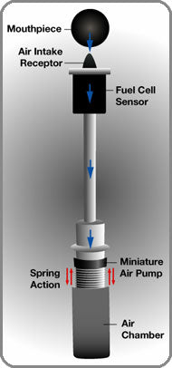  Fuel Cell Testeur d'alcool Promilletester jusqu'à 4