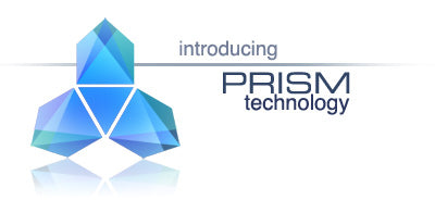 PRISMLogo.jpg