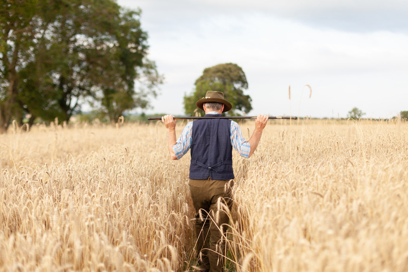 Farmer in a grain field, walking away from the camera 