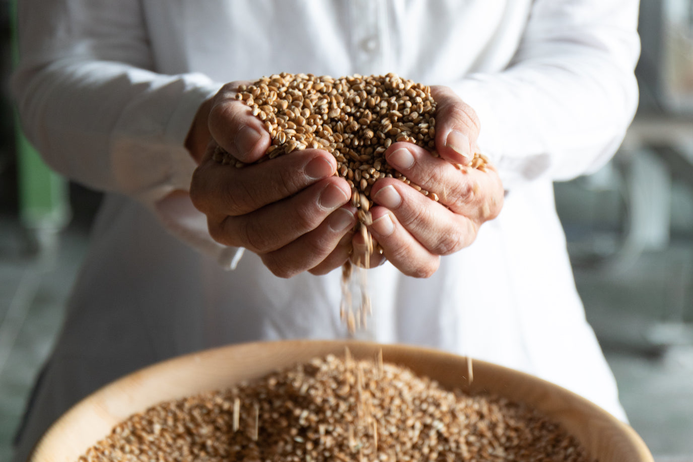 Grains being held in someones hand. 