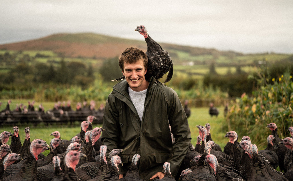 Free Range Turkey Pipers Farm