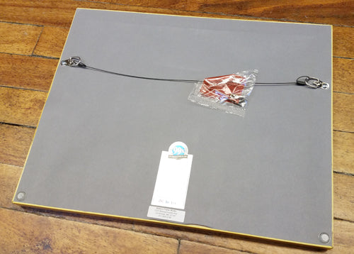 Back of Custom/Archival Frame with professional paper backing and hanging wire; includes hook and a nail