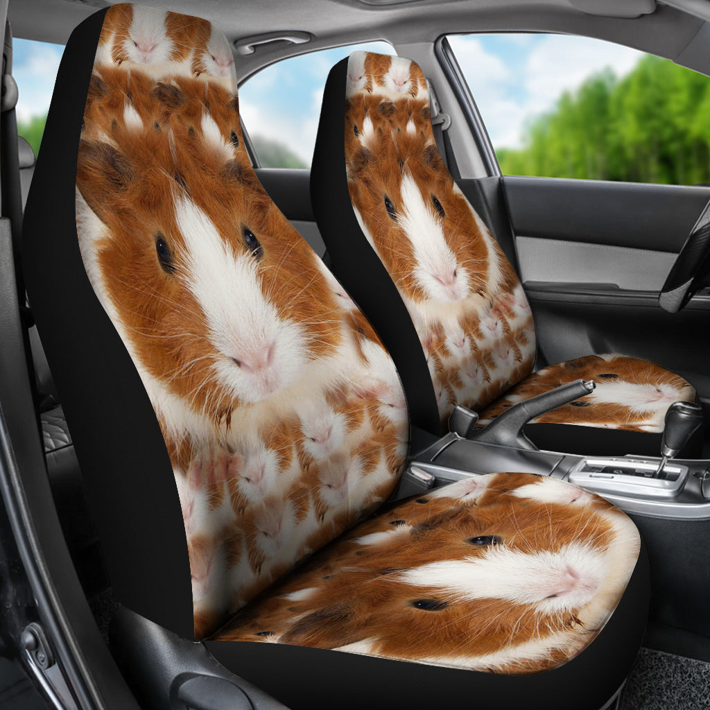 guinea pig car