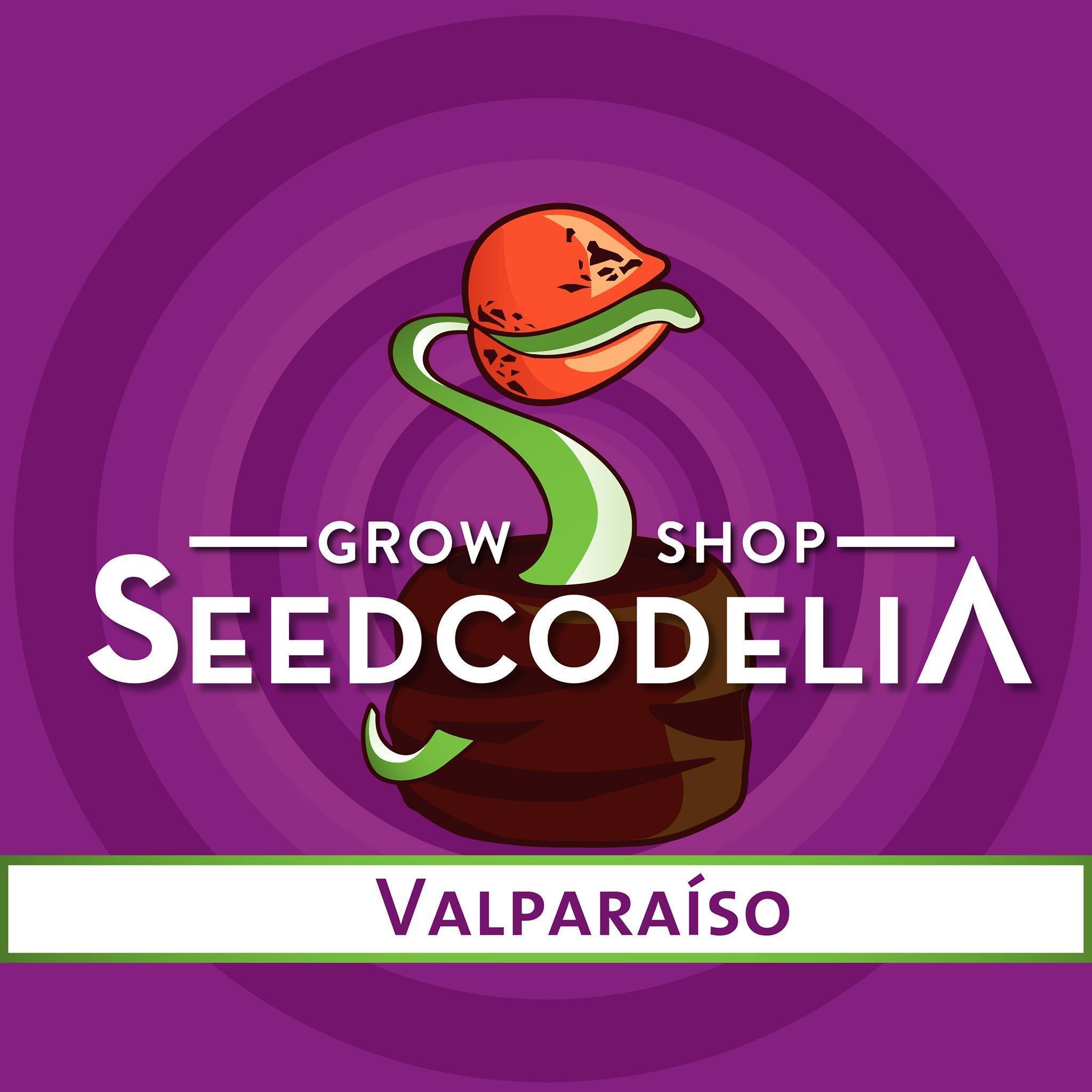 Seedcodelia Grow Shop