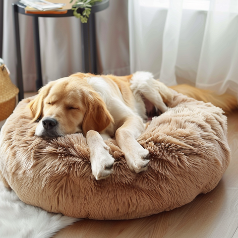 coussin pour chien déhoussable