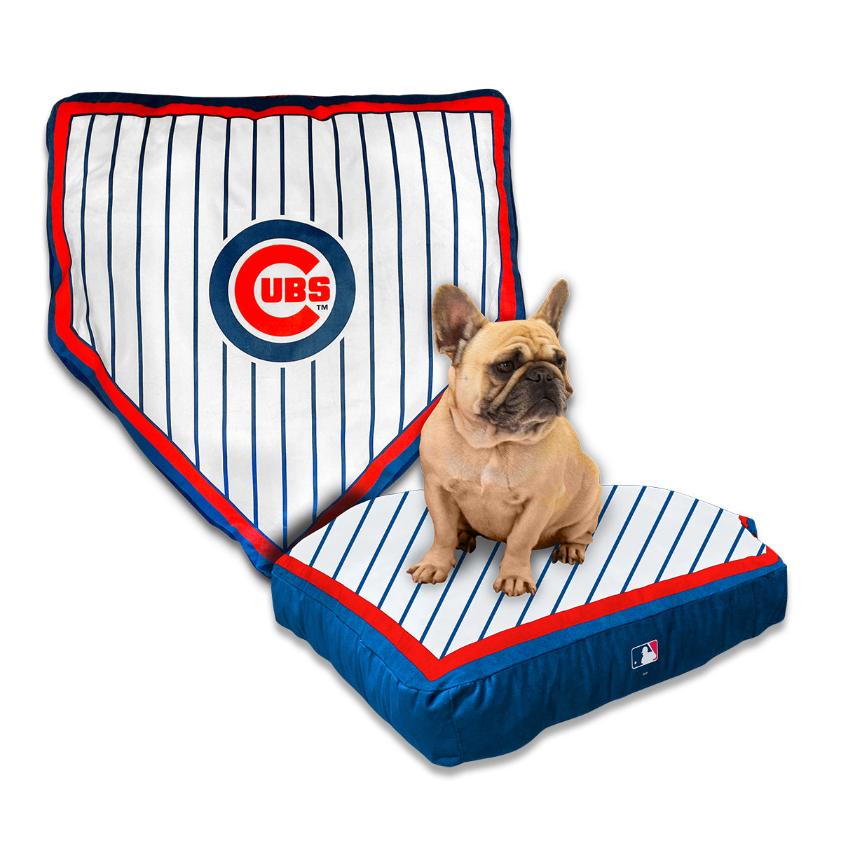 chicago cubs dog