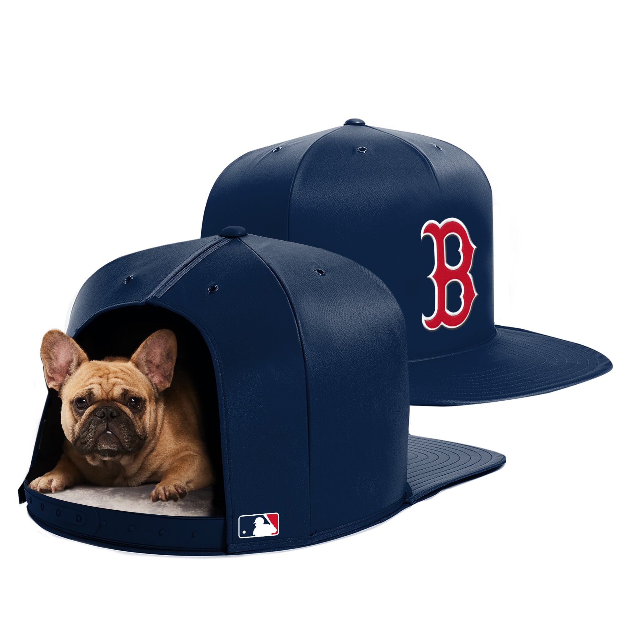 dodger hat dog house