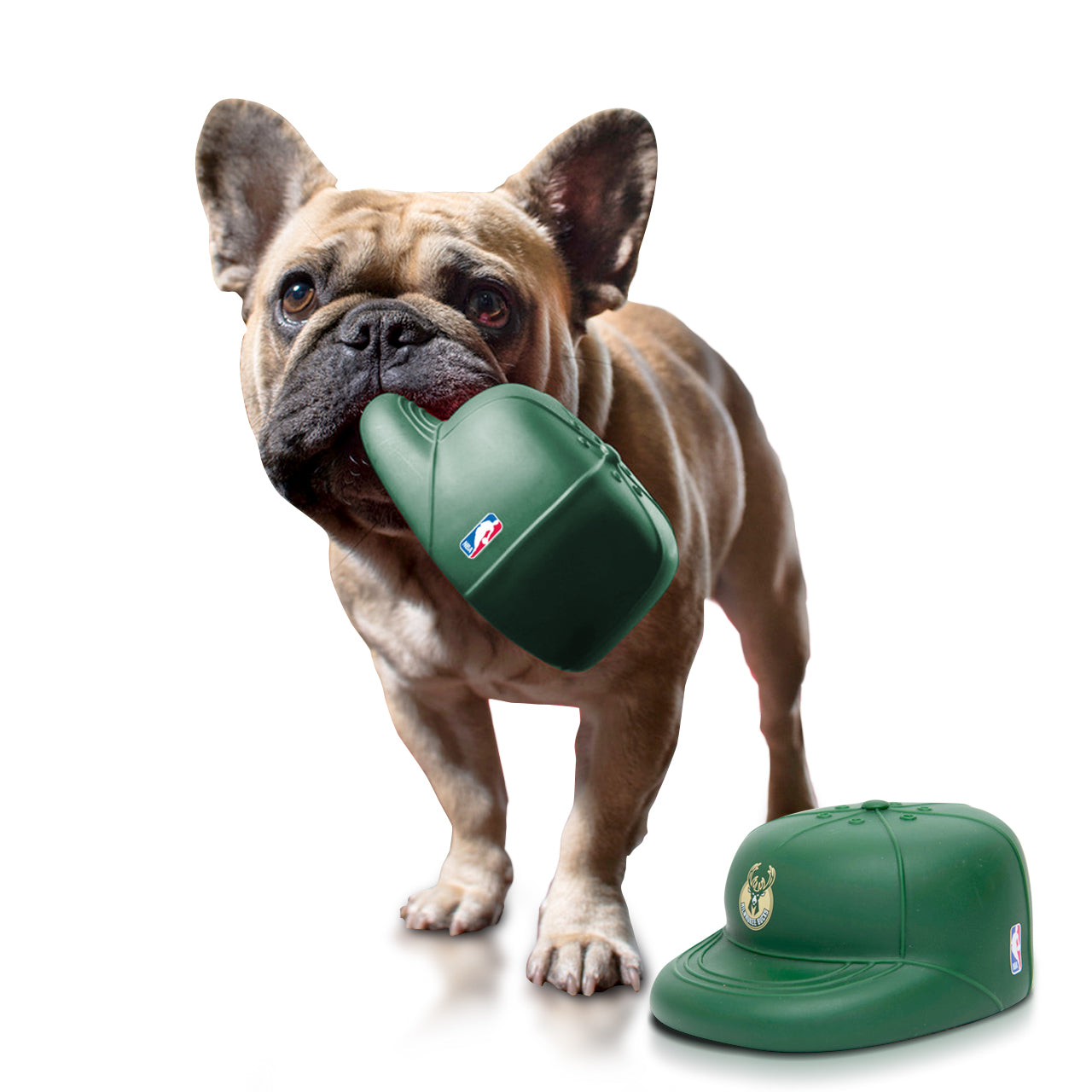 BOSTON CELTICS PLAYCAP DOG CHEW TOY - Nap Cap