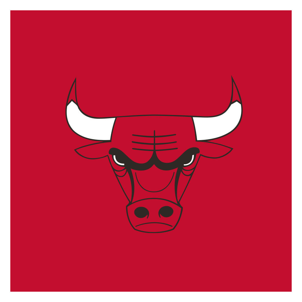 Chicago Bulls