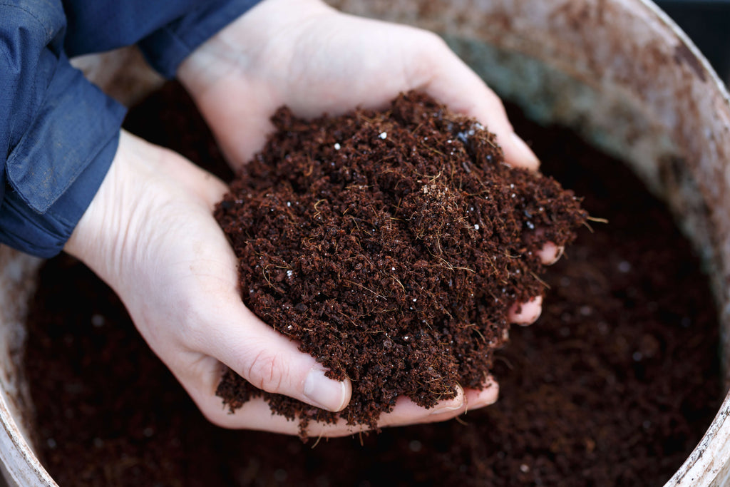 Hands holding coco coir over a bucket