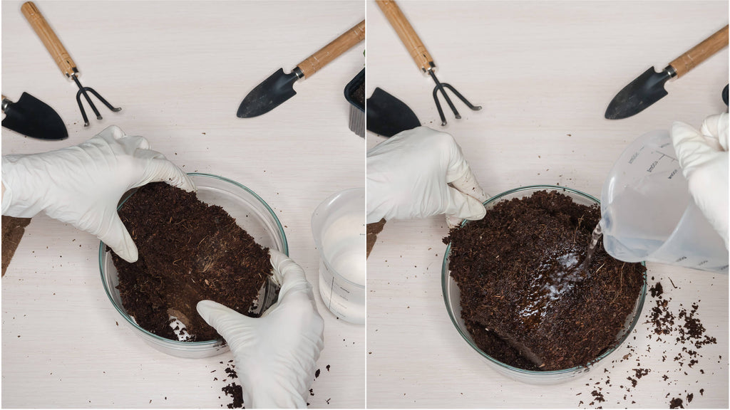 Two images side by side of someone hydrating a brick of coco coir, with garden tools on the table.