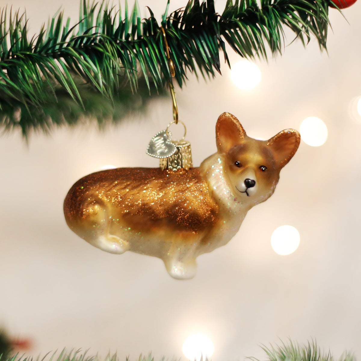 Image of Pembroke Welsh Corgi