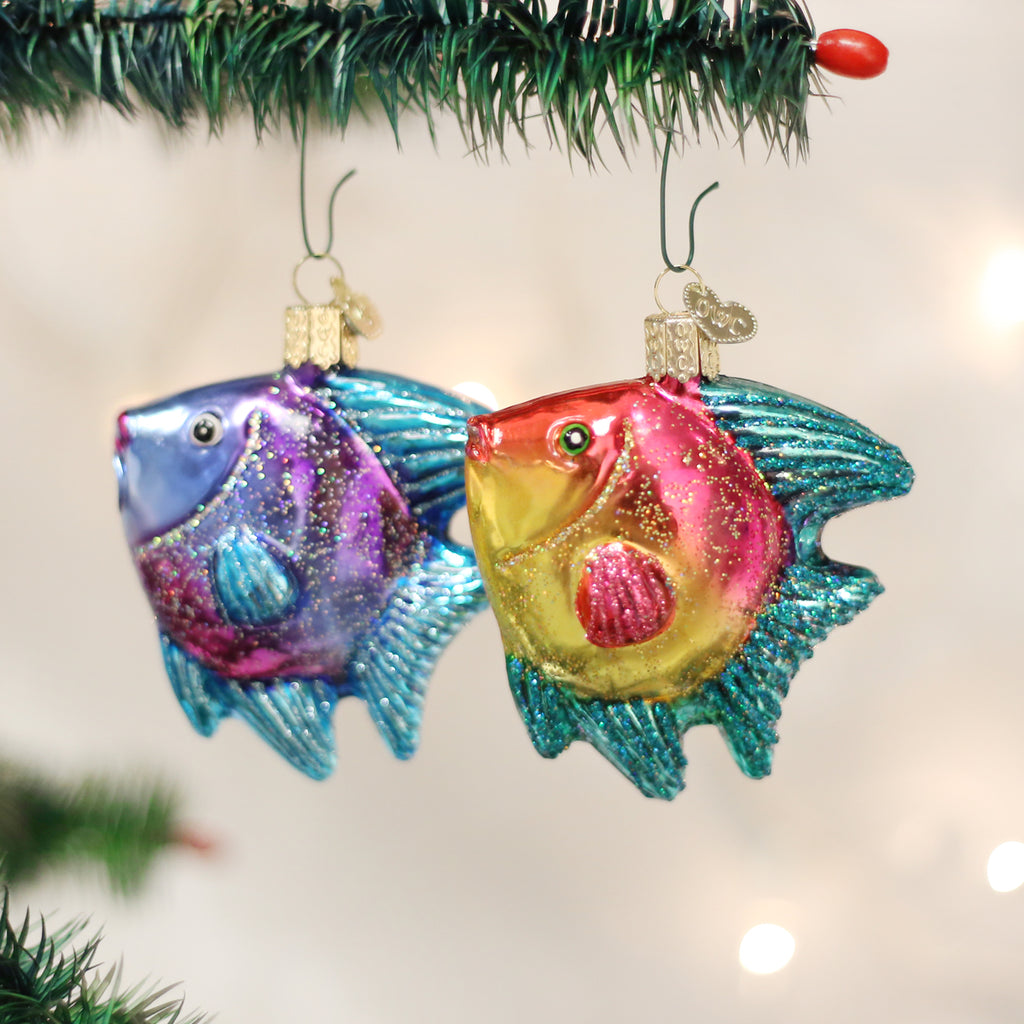 Tropical Angelfish (a) Ornament | Old World Christmas™
