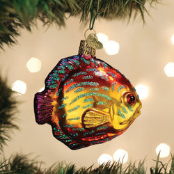 Marine Life & Fish Ornaments | Old World Christmas™