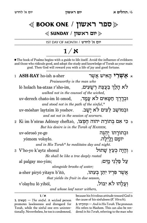 Products Page 33 Mitzvahland - 