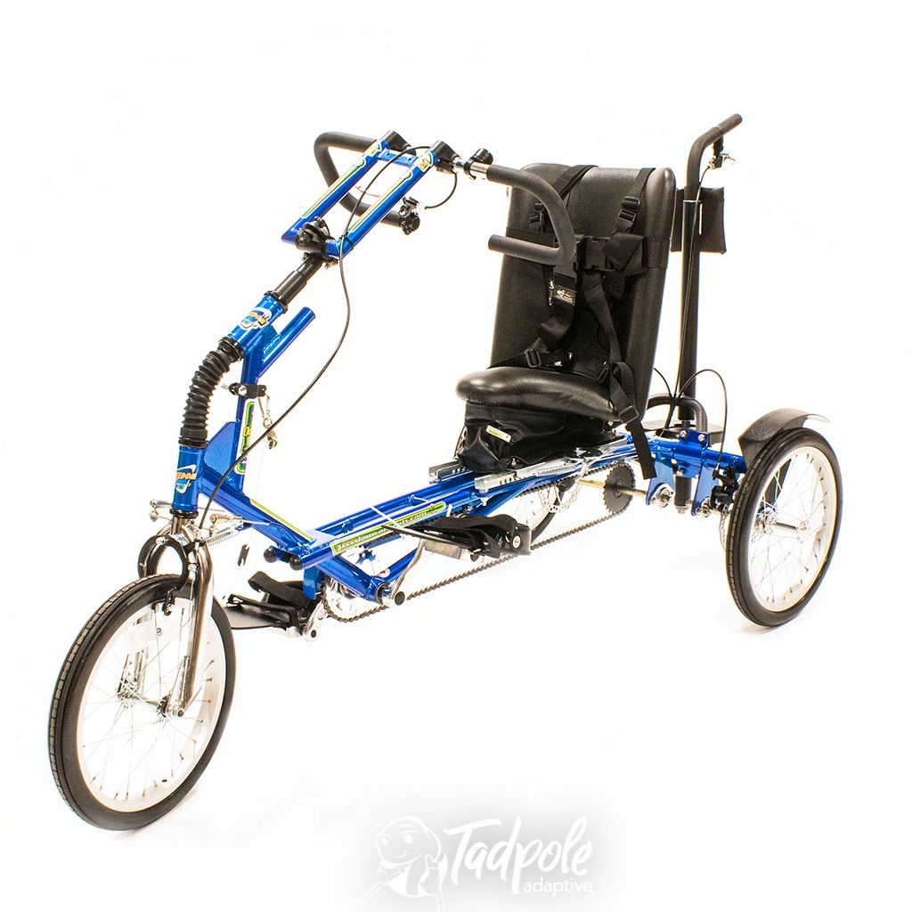 freedom concepts tandem bike