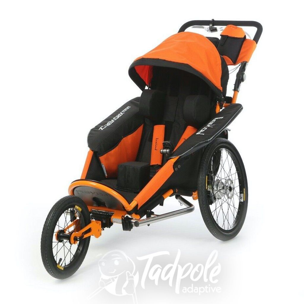 stroller that turns into a bike