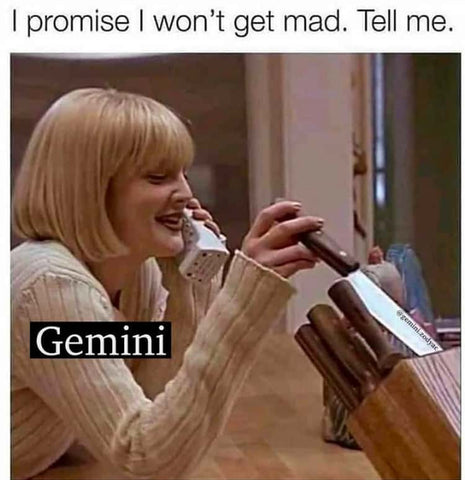 The Inappropriate Gift Co Gemini Meme