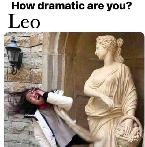The Inappropriate Gift Co Leo Meme