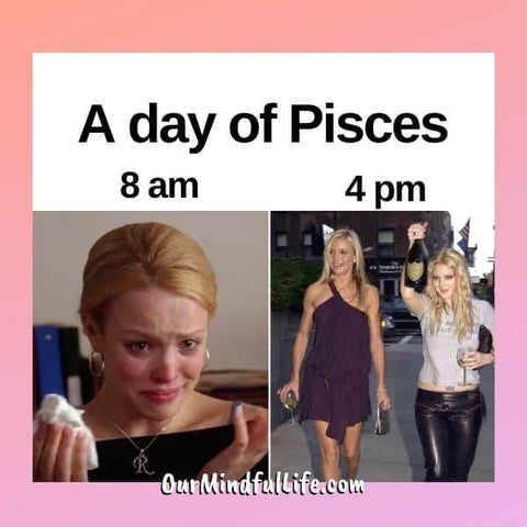 The Inappropriate Gift Co Pisces Meme