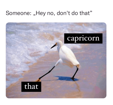 The Inappropriate Gift Co Capricorn Meme