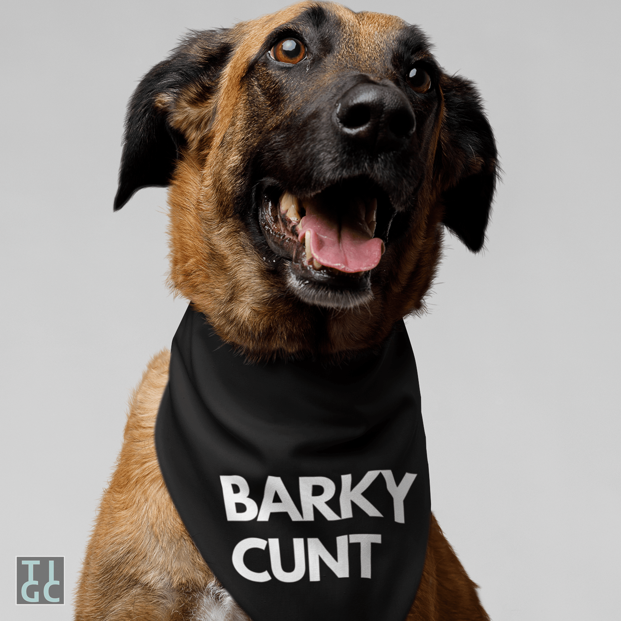 inappropriate funny dog collars
