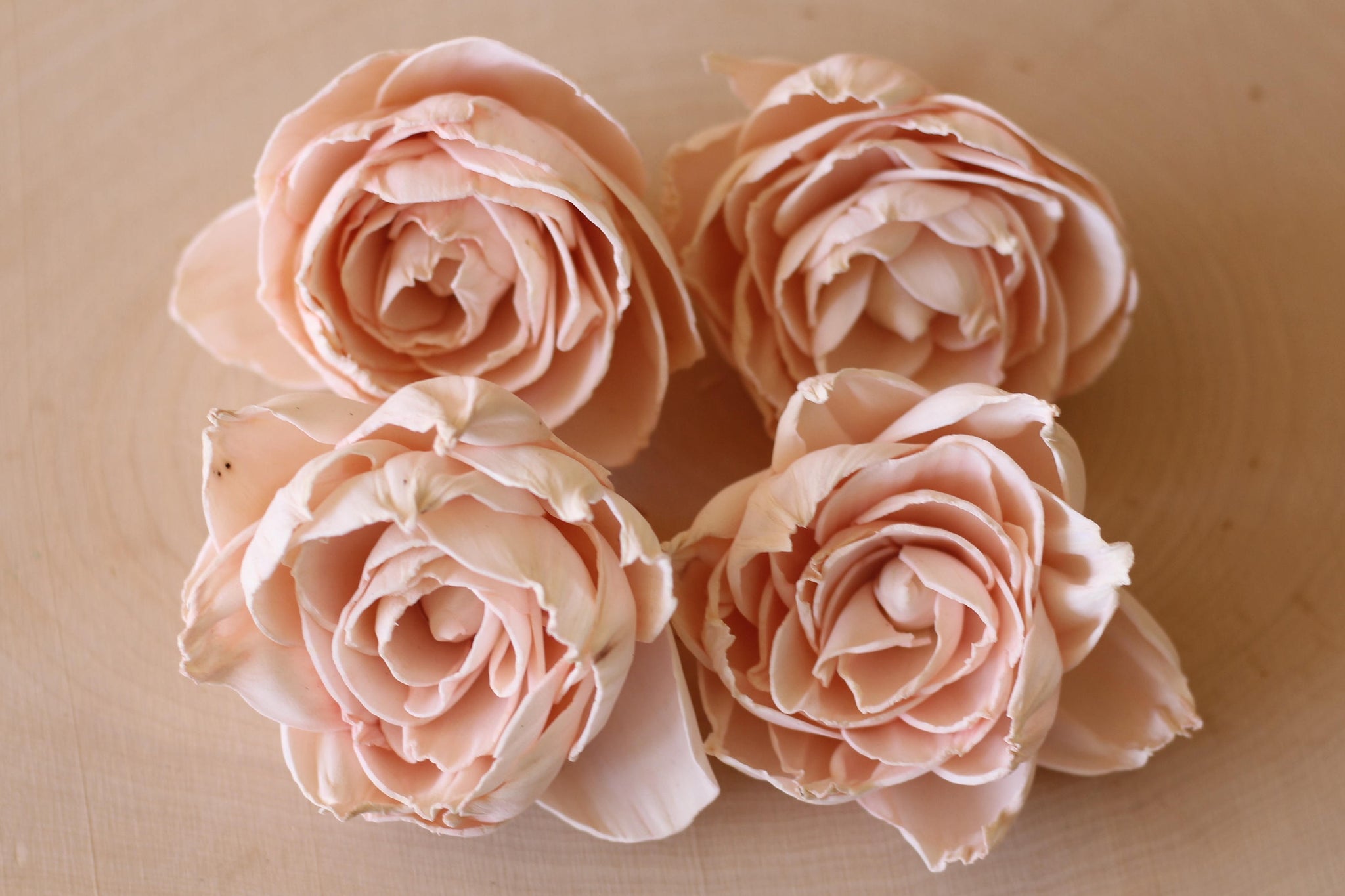 Blush Pink Sola Wood Peonies ( Set of 12 ) – SolaFlowerStore