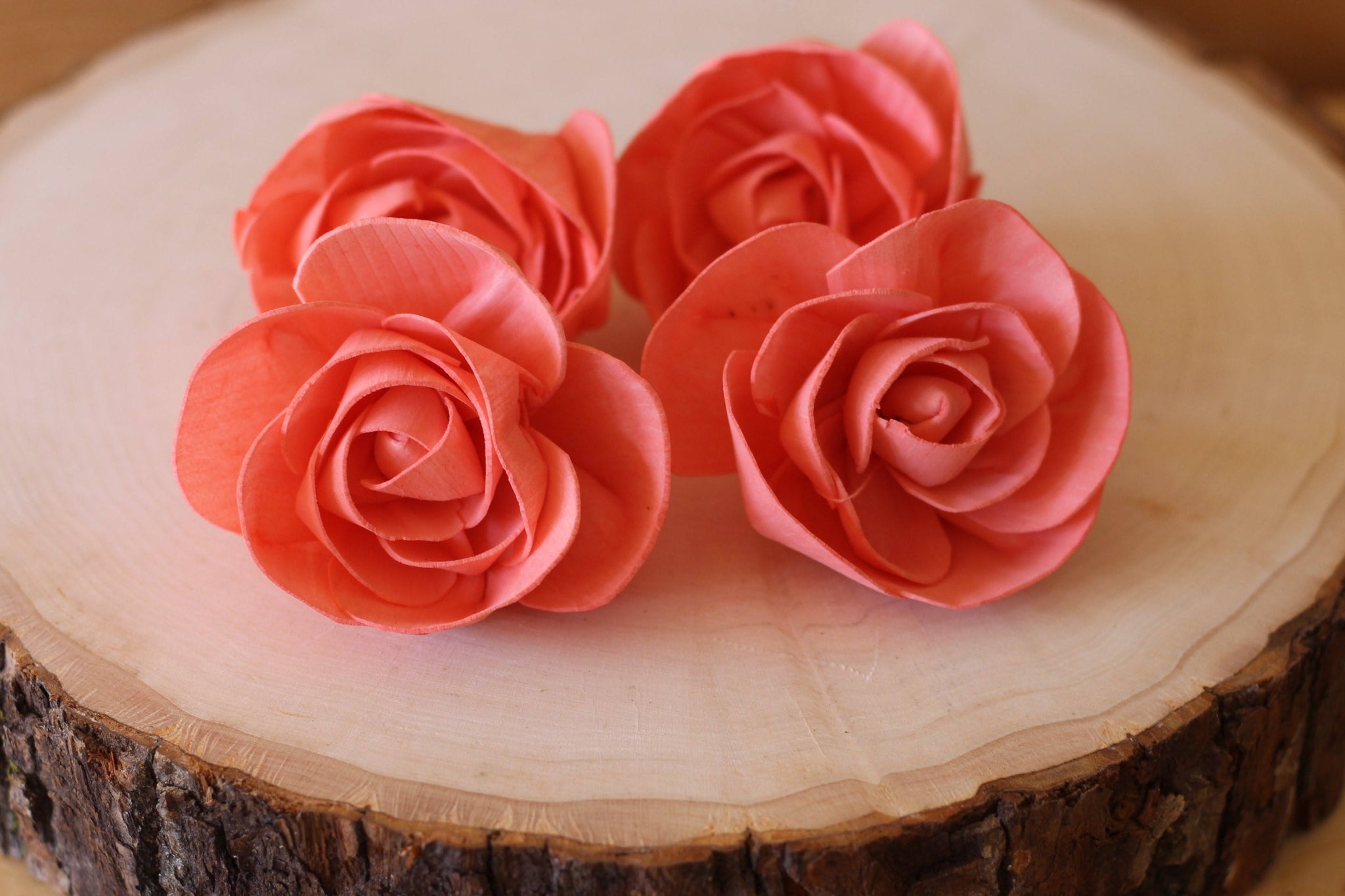 Coral Love Rose Sola Wood Flowers (Set of 12 ...