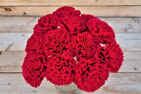 Carnation Flower - Sola Flowers - sold by the dozen - Oh! You're Lovely -  Sola Wood Flowers