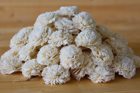 Wholesale/Bulk Sola Carnations 2 – SolaFlowerStore