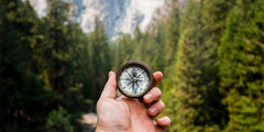 compass-in-the-forest-to-symbolize-finding-your-way