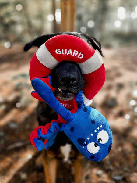 Dog holding an octopus dog toy 