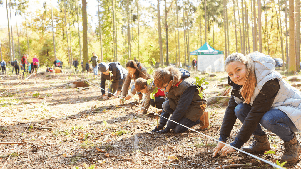 Norse Interiors planting trees