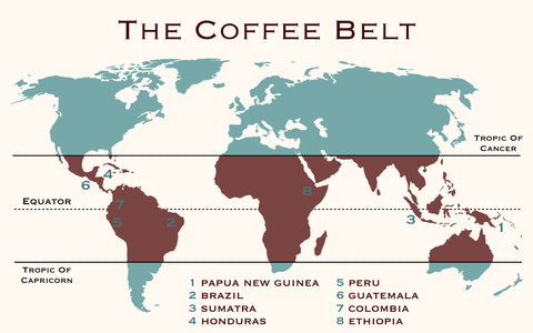 the coffee belt