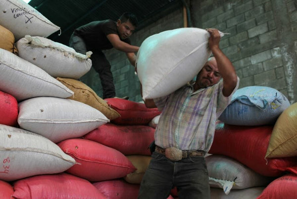 Santiago Lopez Diaz hands a 100-pound sack of coffee to Manuel Castillo.