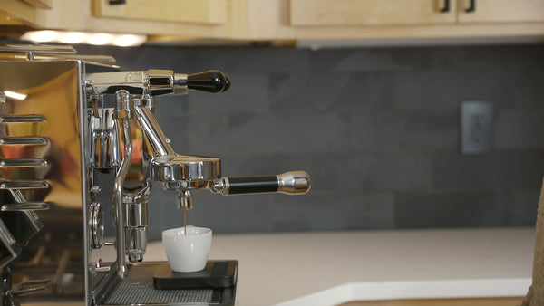 Barista Basics: How to Make an Espresso in 14 Steps - Perfect Daily Grind
