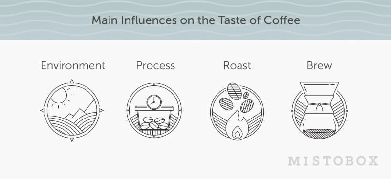 the four main contributors to coffee processing knockout by mistobox